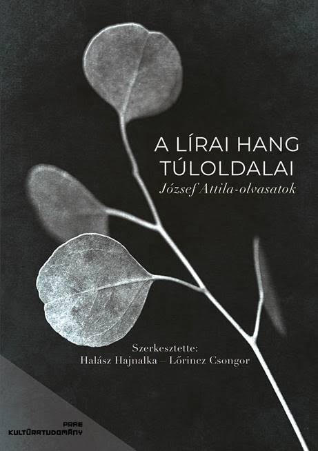 A lírai hang túloldalai