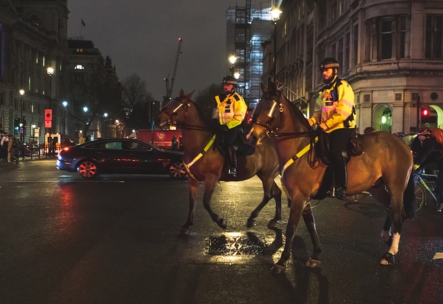 Súlyos problémák a Scotland Yard-nál