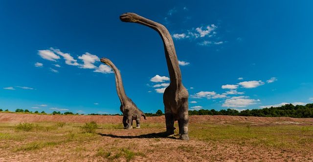 Új dinoszauruszfaj maradványaira bukkantak