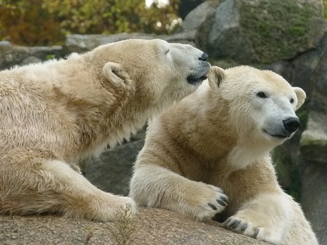 Berlin zoo