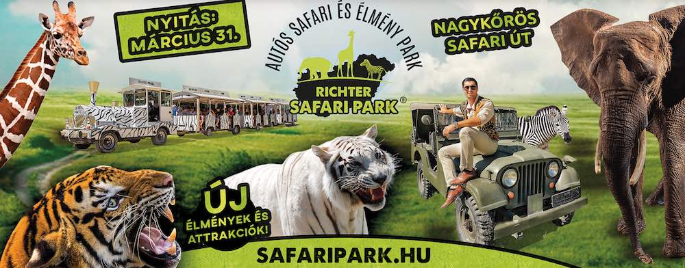 Elvonult a vihar, újra kinyitott a Safari Park