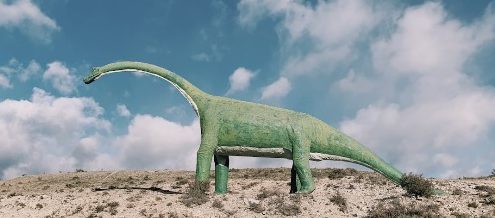 Cetiosaurus